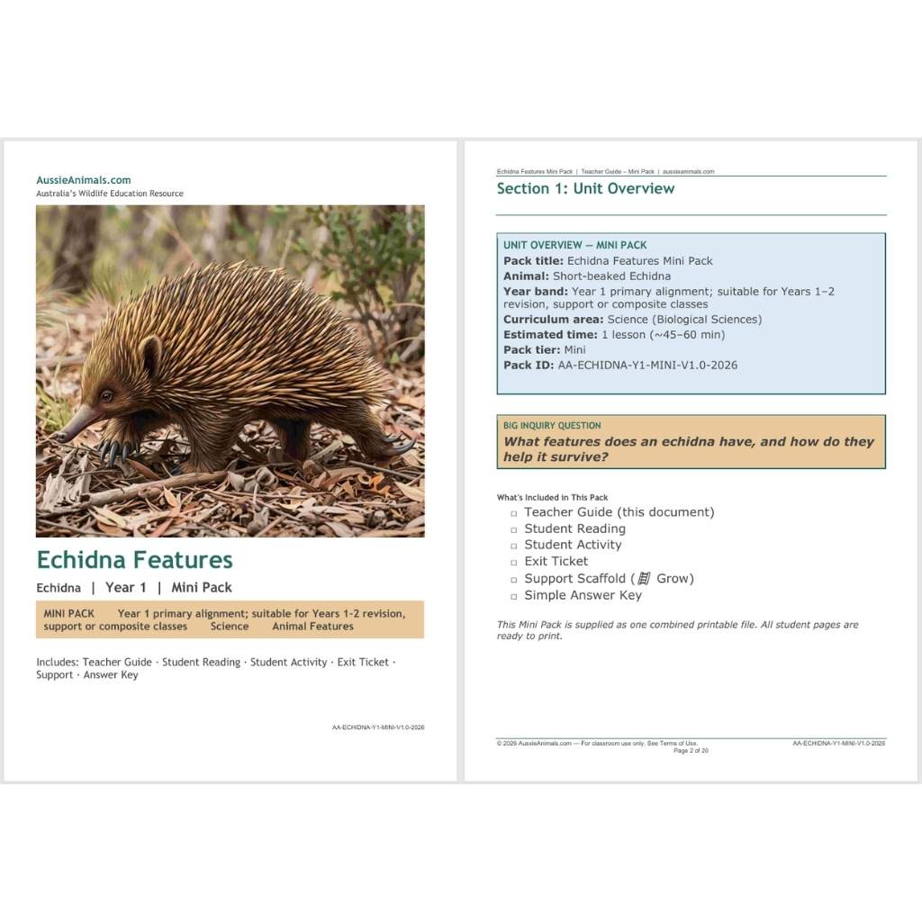 AA-ECHIDNA-Y1-MINI-TEACHING-RESOURCE