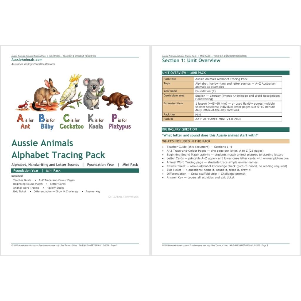 AA-F-ALPHABET-MINI-Teaching-Resource