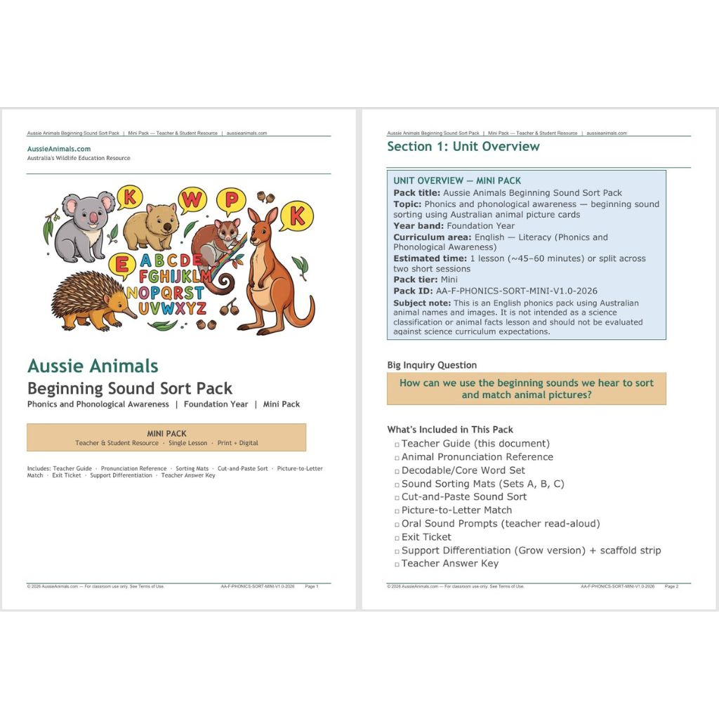 AA-F-PHONICS-SORT-MINI-Teaching Resource