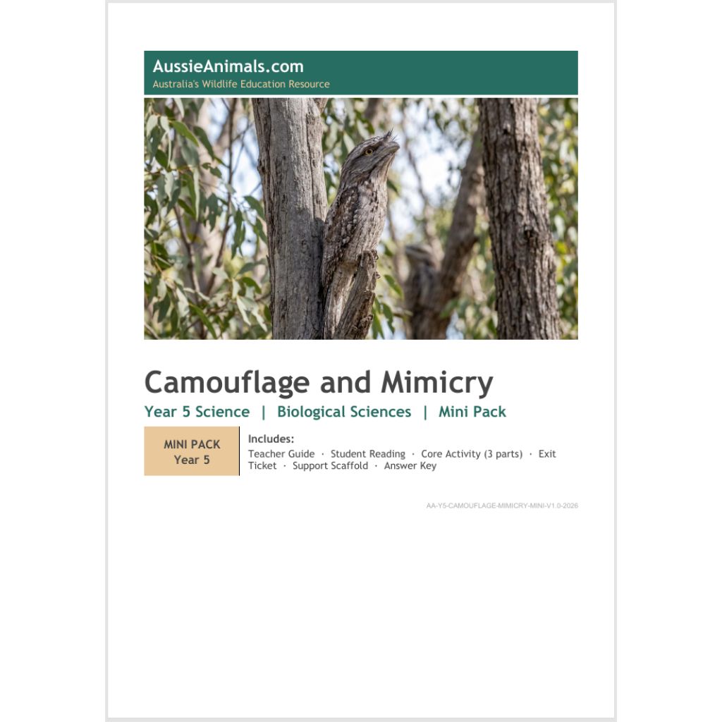 Camouflage and Mimicry Mini Pack — Year 5 Science