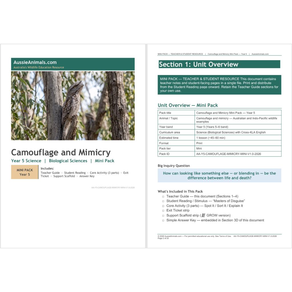 AA-Y5-CAMOUFLAGE-MIMICRY-MINI-worksheet