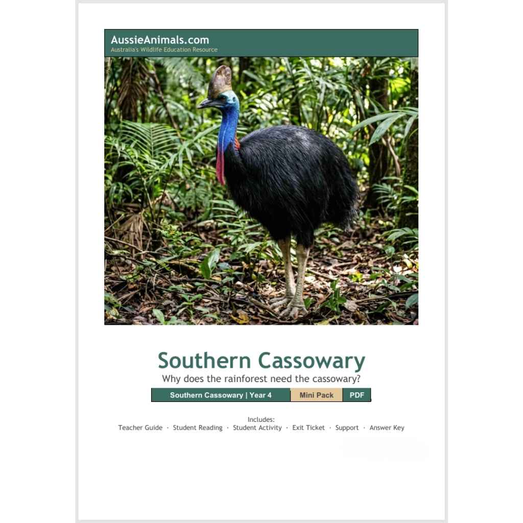 Southern Cassowary Rainforest Mini Pack — Year 4 Science